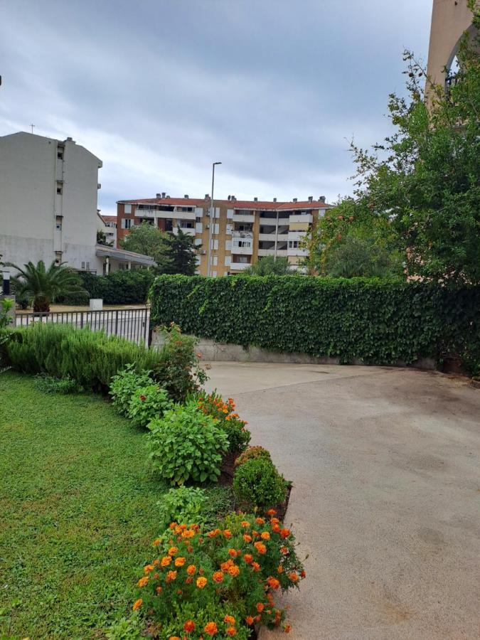Dali Budva
